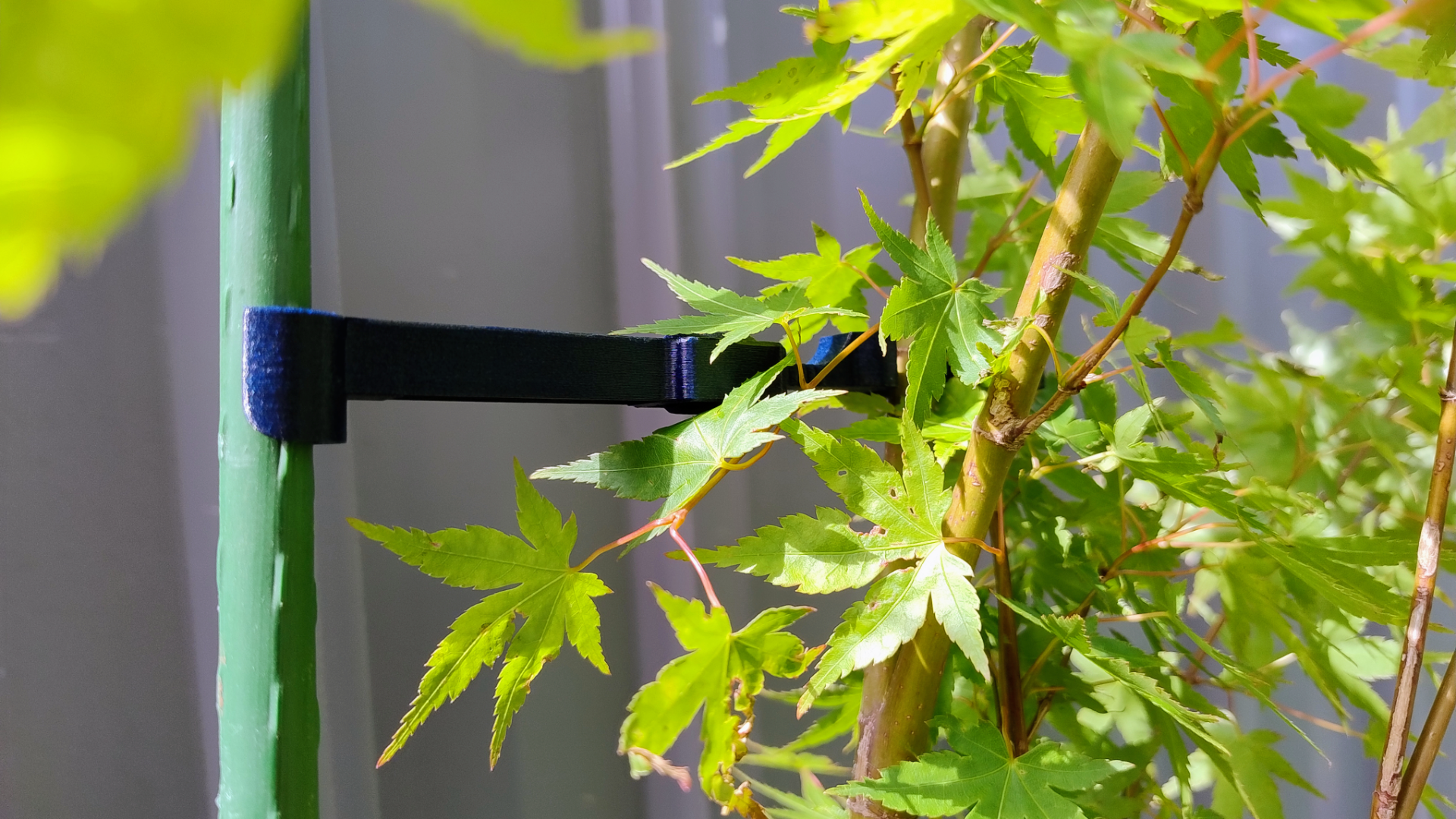 Tree support for young trees