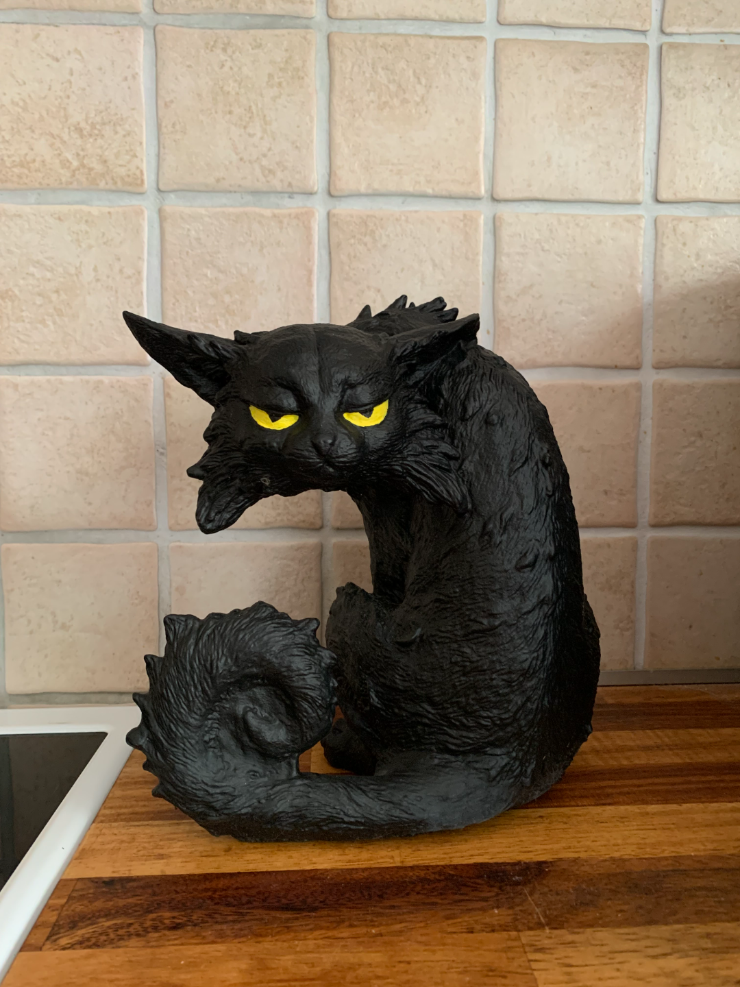 Scary garden cat