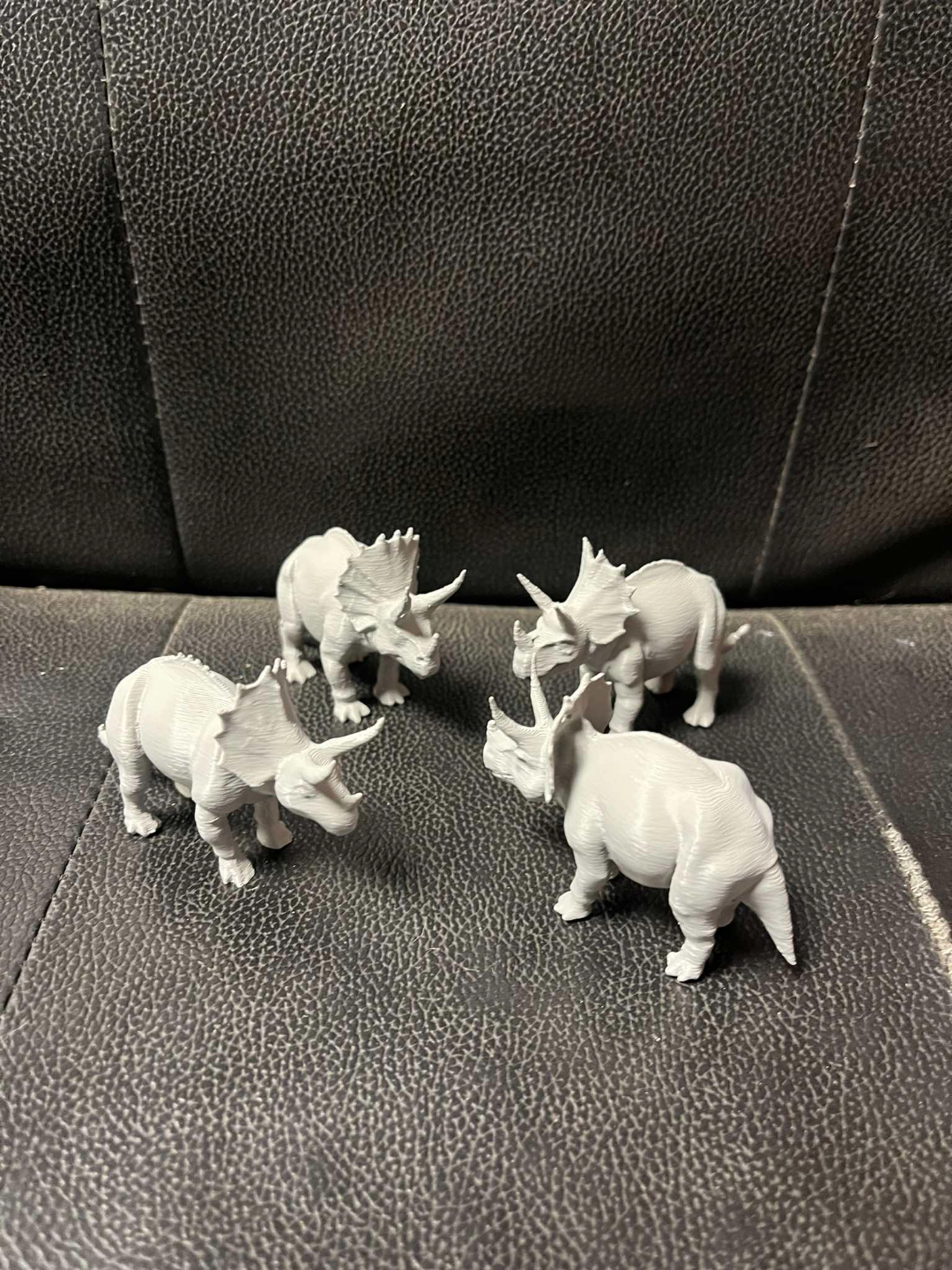 Triceratops dinosaur