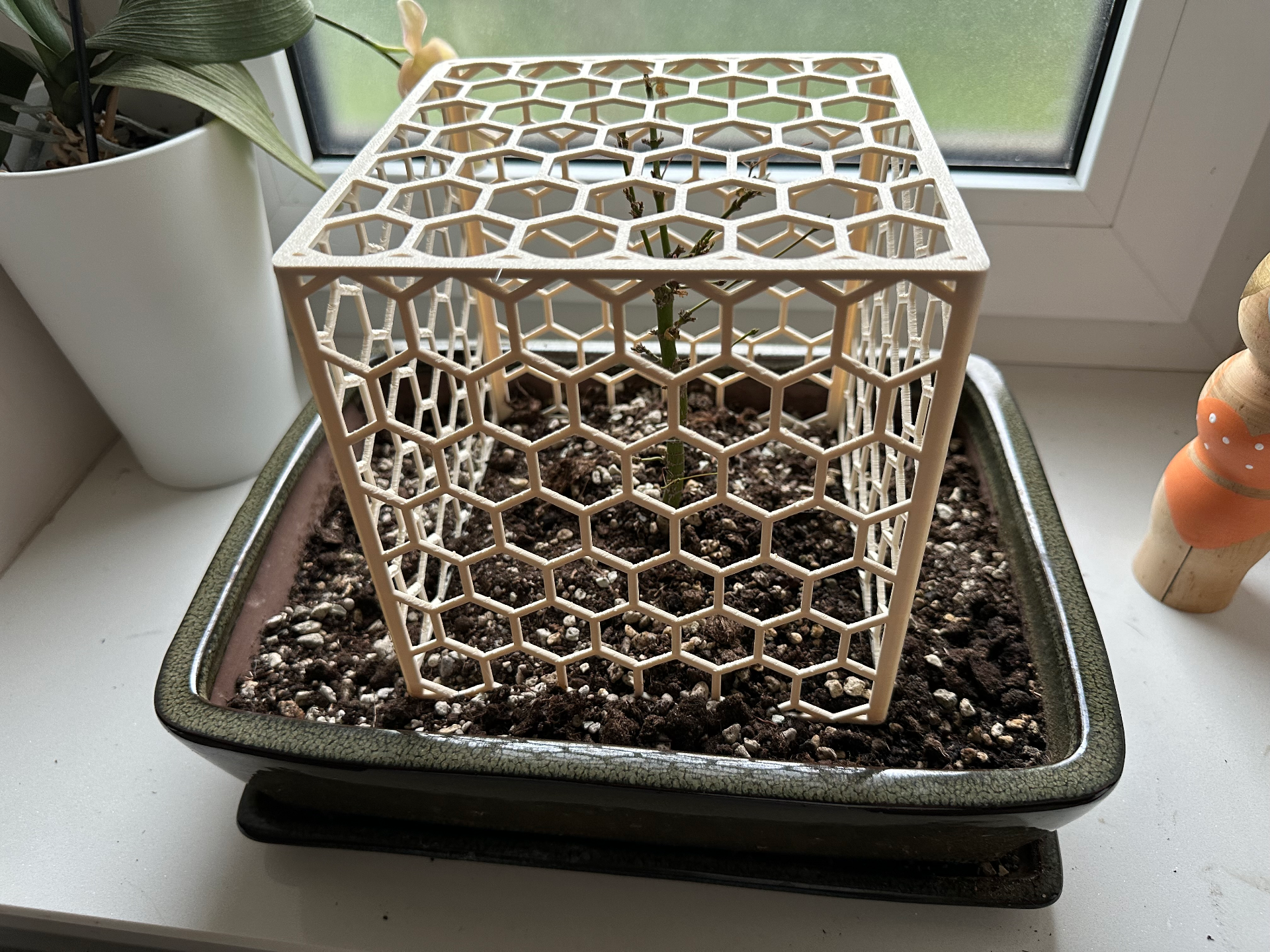 Mesh Cover for Plants CUBE