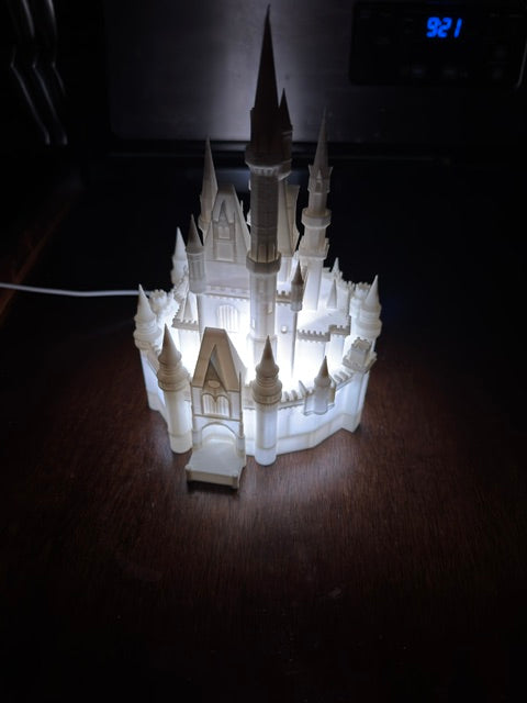 Cinderella castle