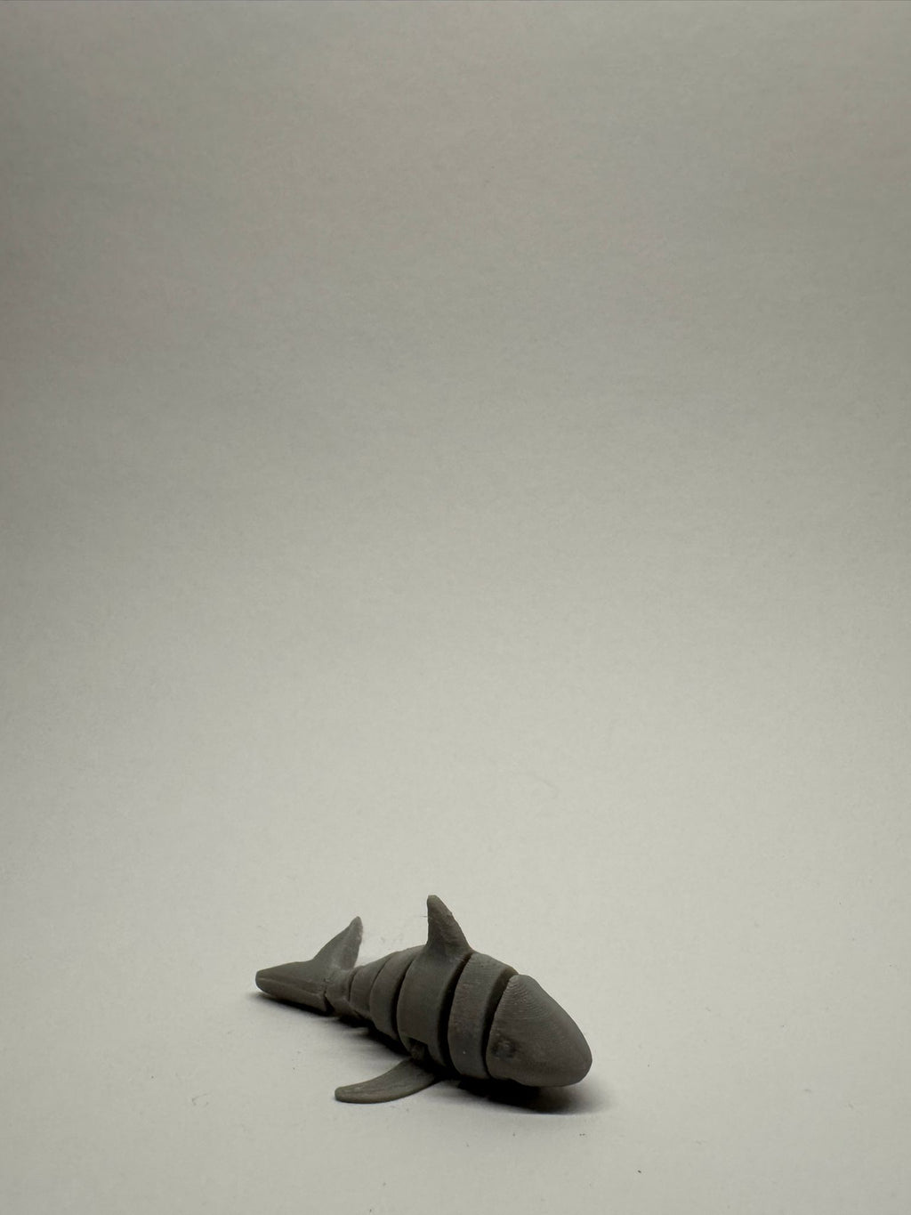 Cute Articulated Shark