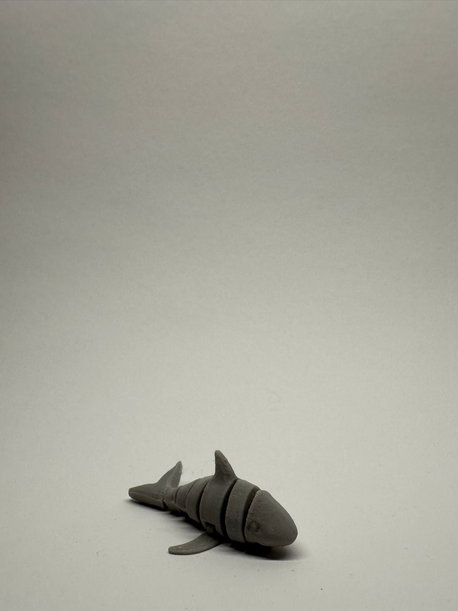 Cute Articulated Shark
