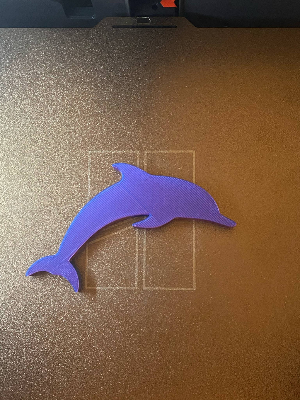 Dolphin
