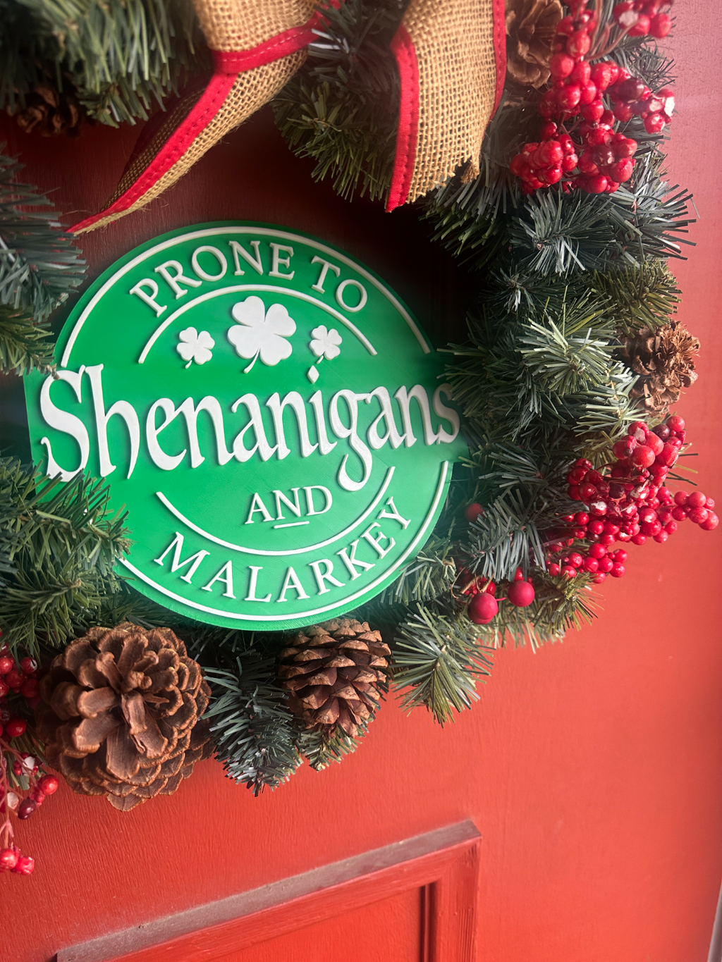 Irish "Shenanigans & Malarkey" Sign