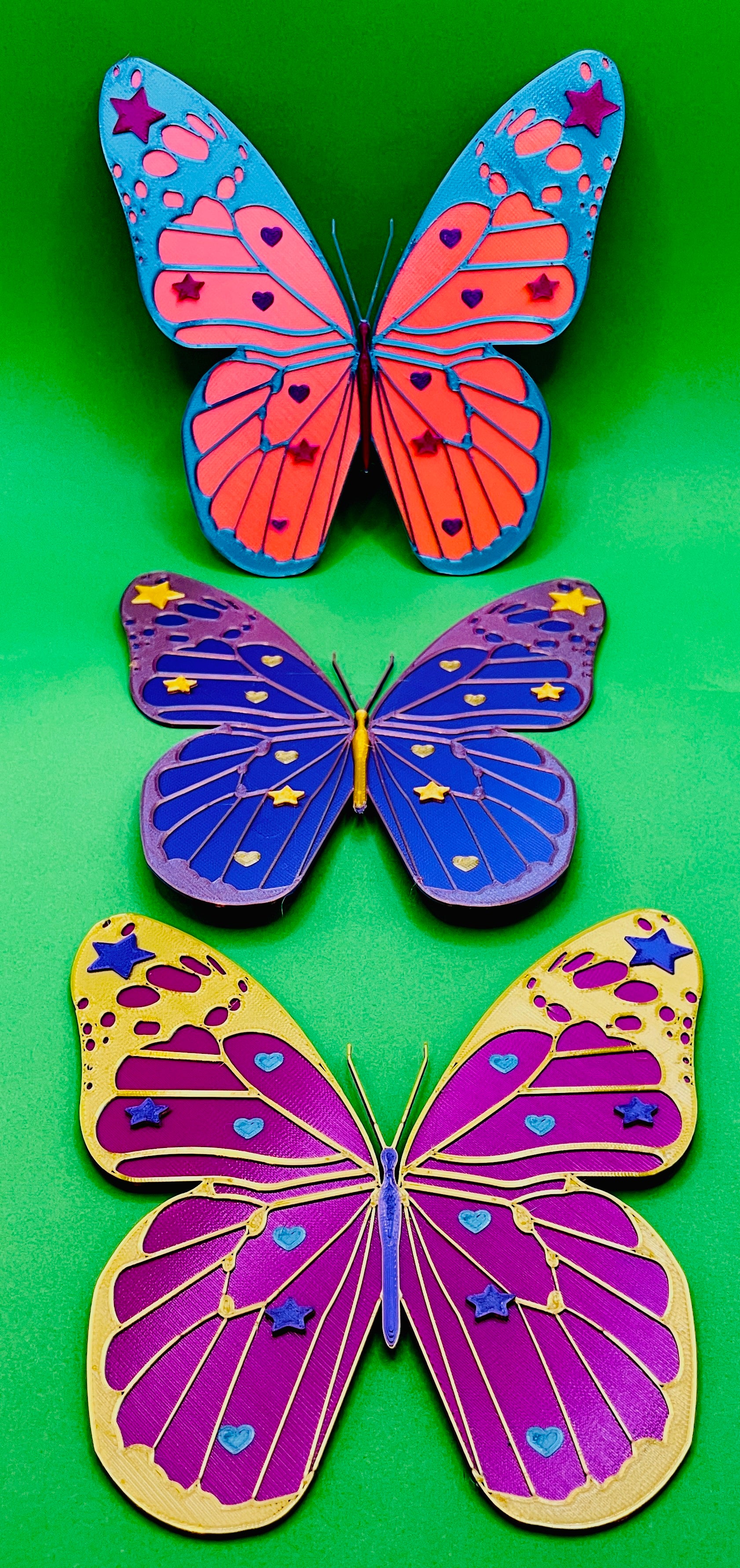 Colourful Butterfly