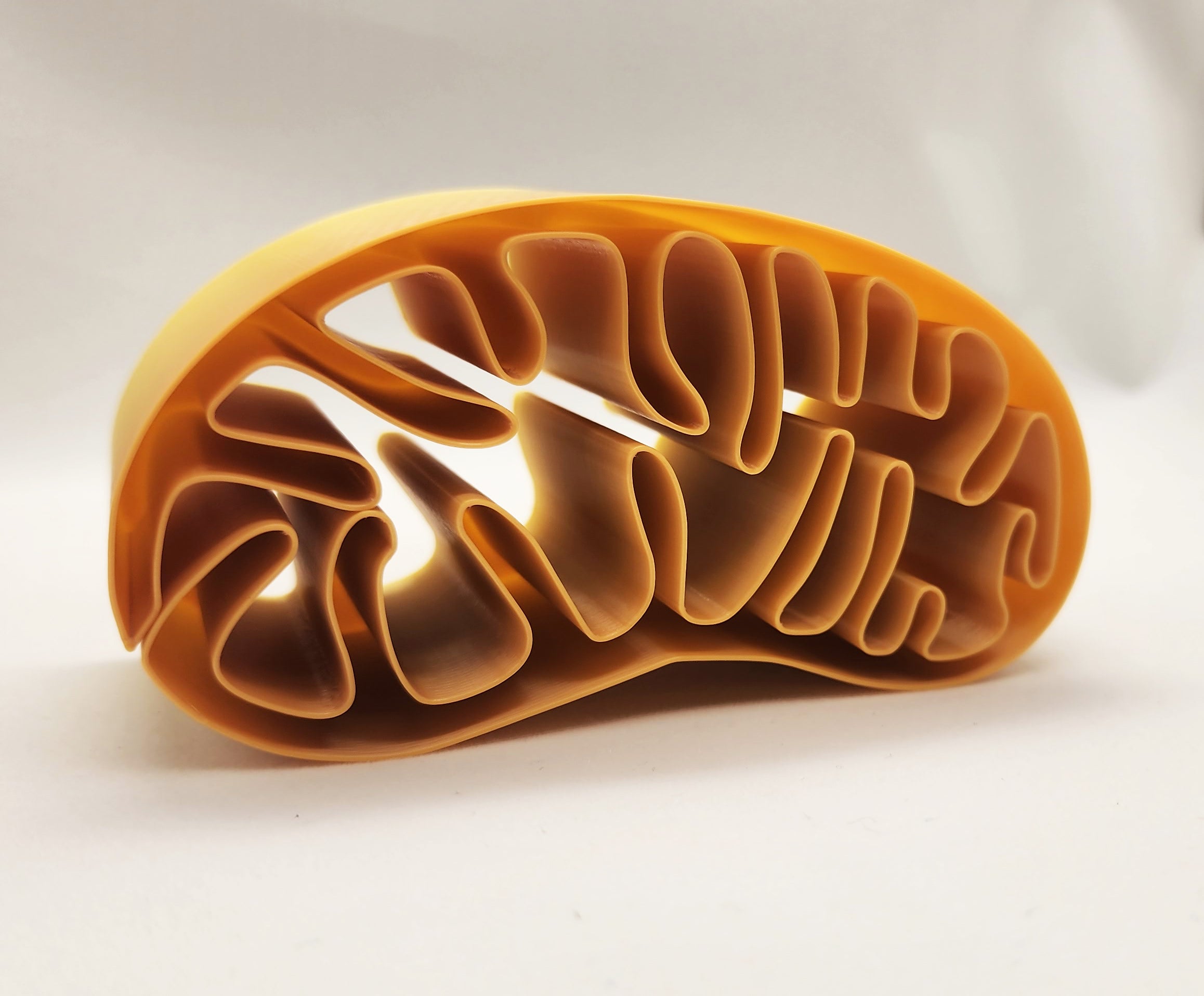 Mitochondria Spiral Vase