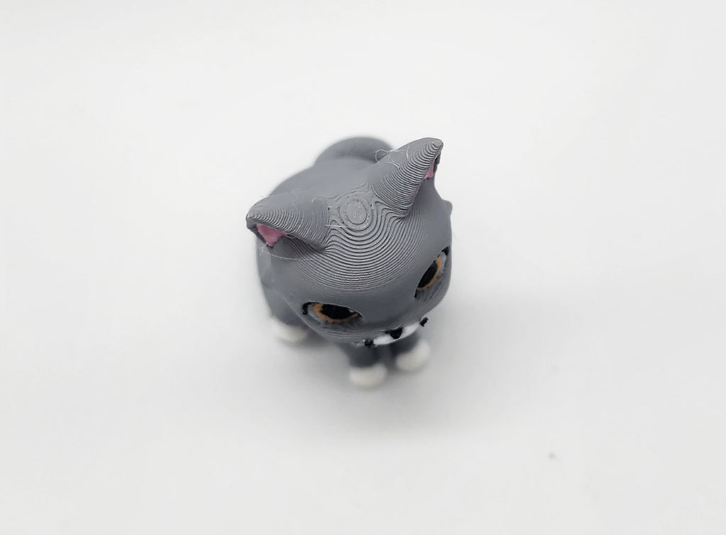 Dexter Cat