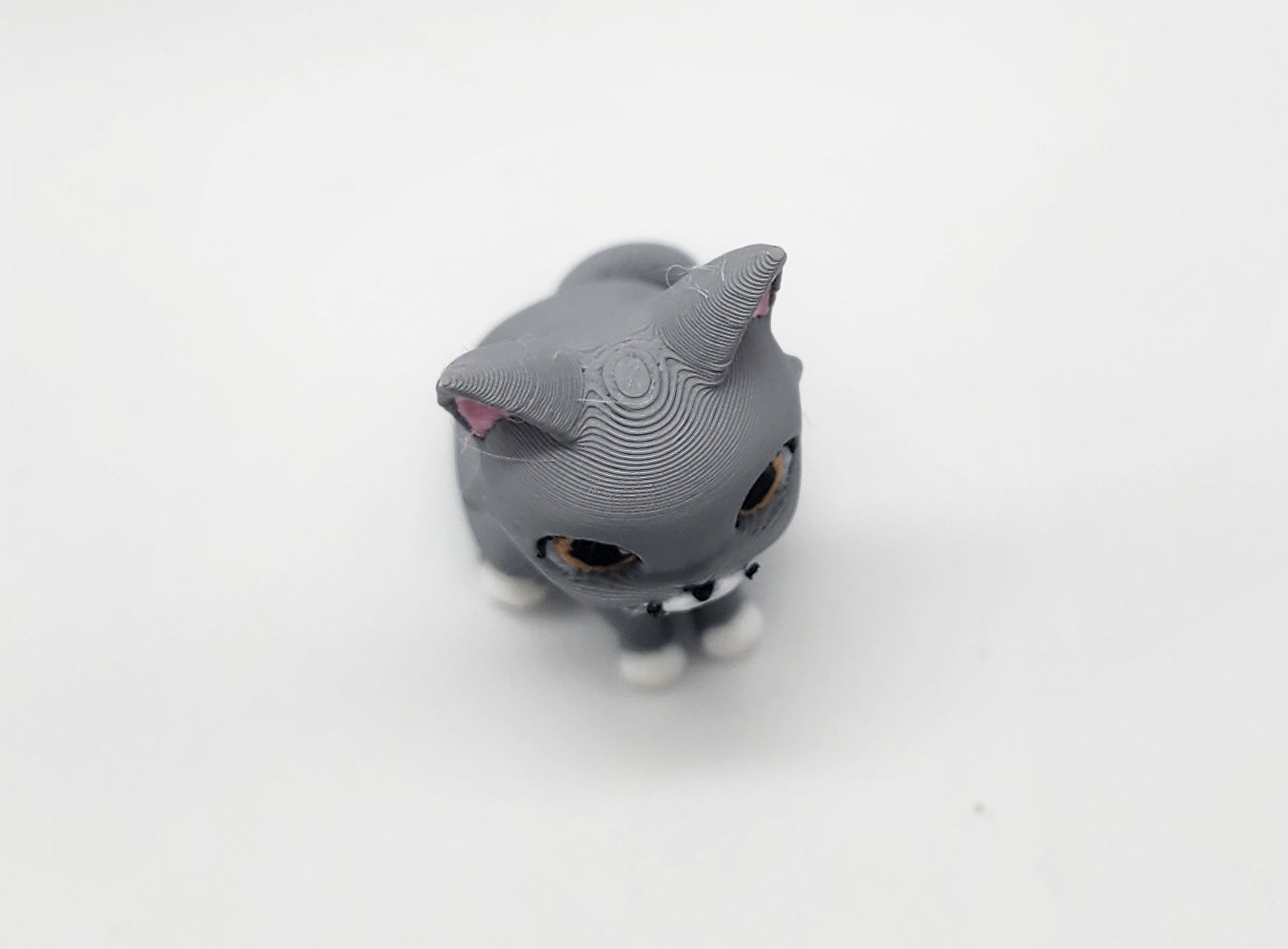Dexter Cat