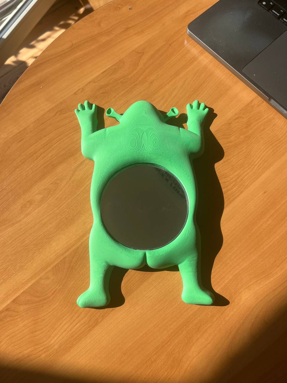 Shrek mirror