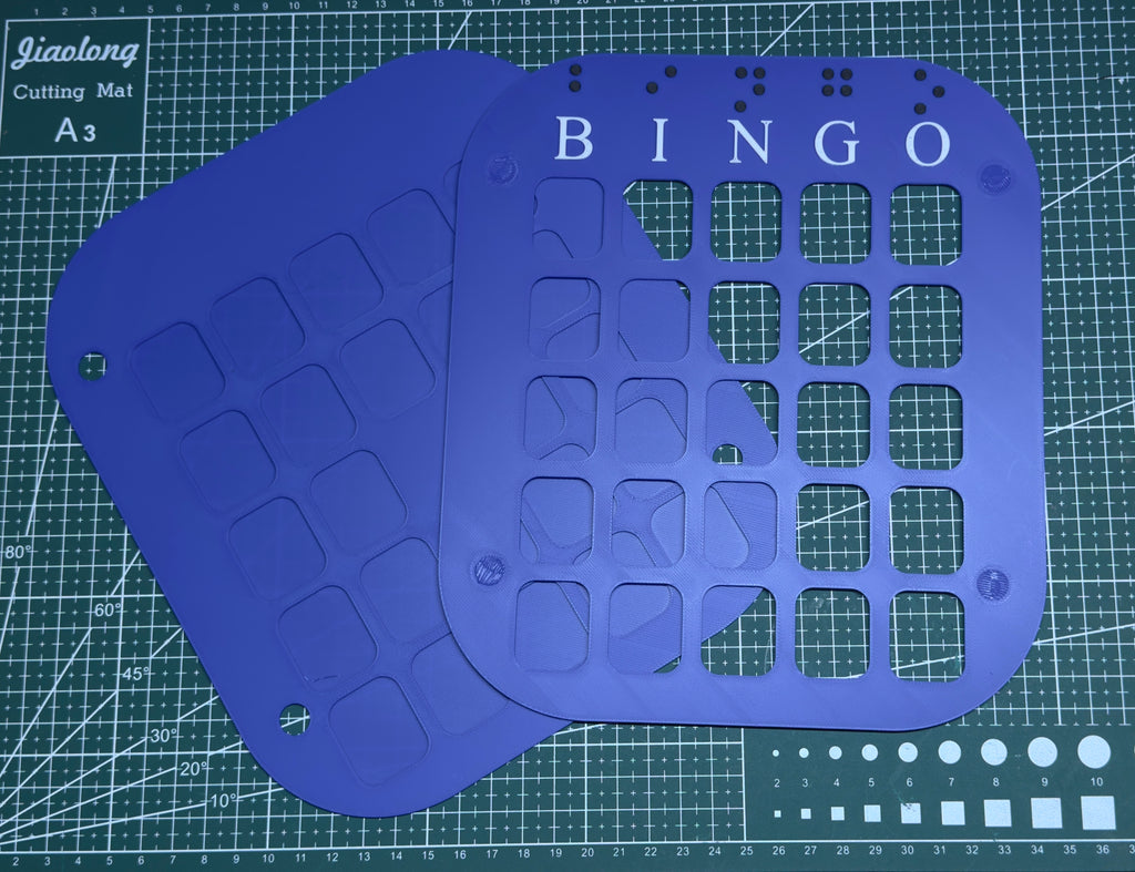 Visually Impaired & Blind People Bingo Card