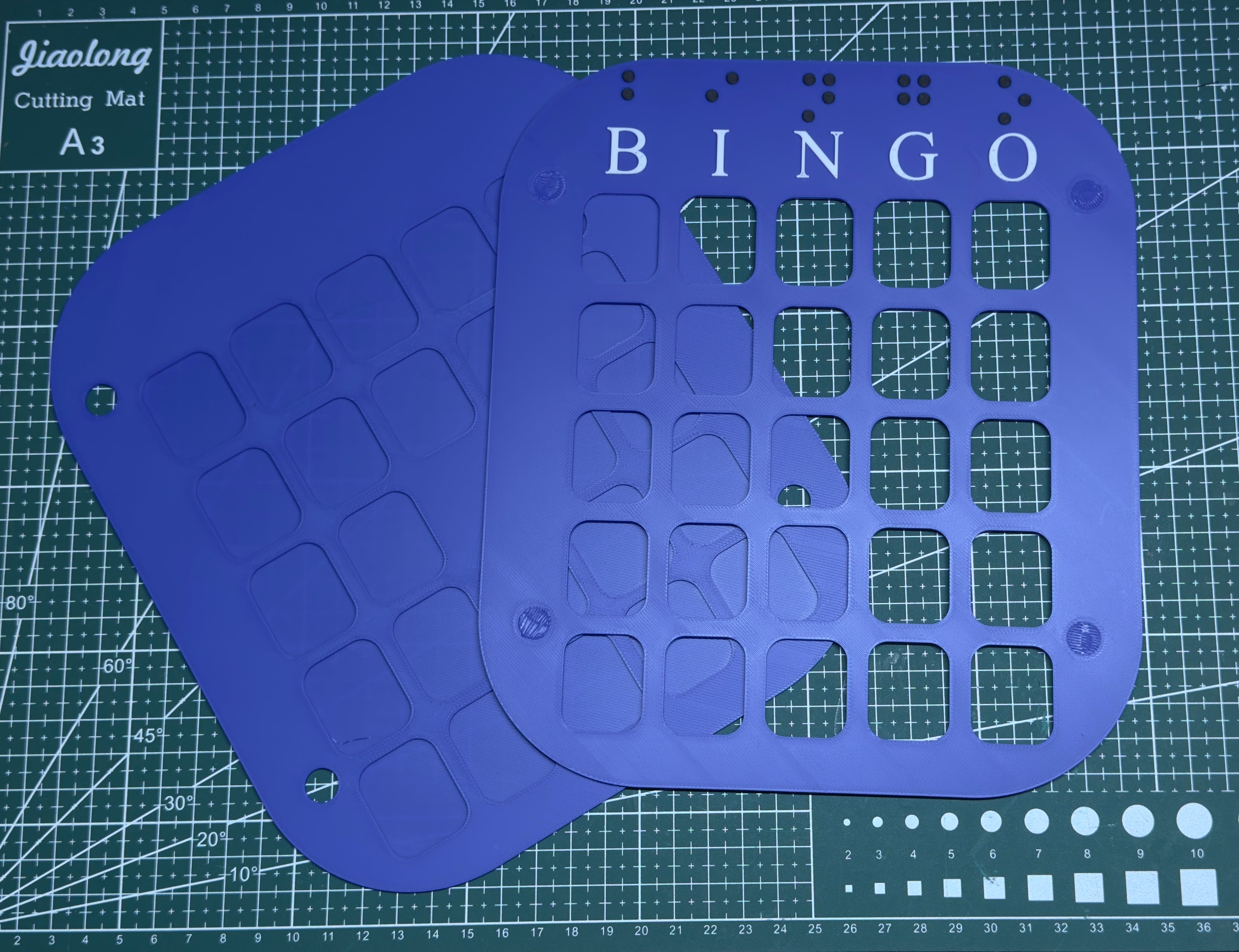 Visually Impaired & Blind People Bingo Card