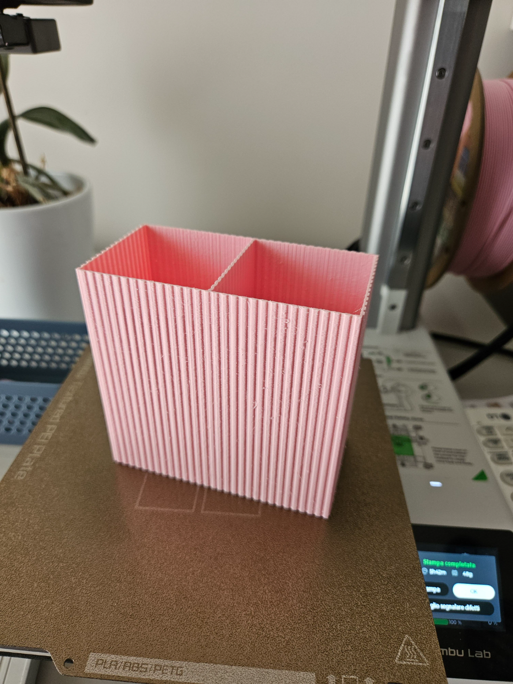 Bathroom toothbrush and toothpaste holder