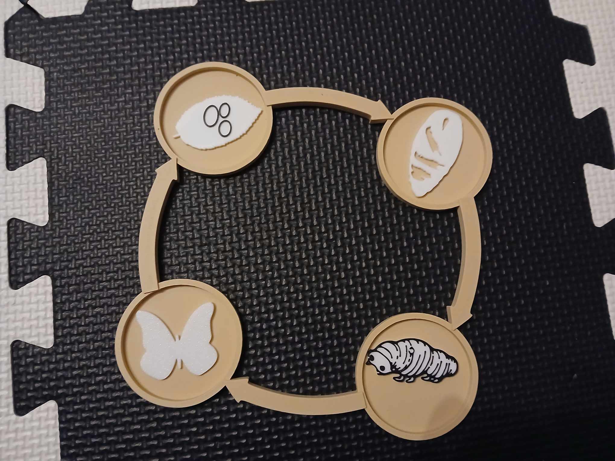 Sensory Tray – Butterfly Life Cycle