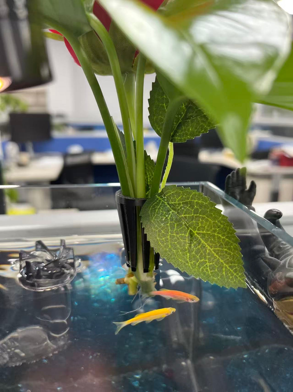 鱼缸-小植物定植栏