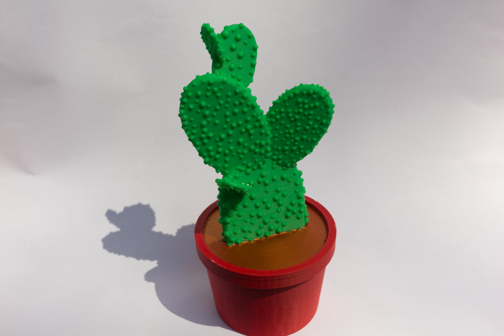 Desktop Cactus Plant, 3-Color print, House Decor