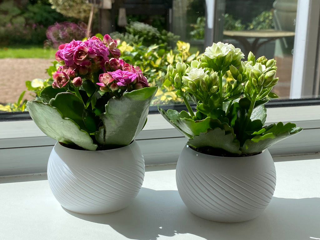Flower Pot, Planter Small
