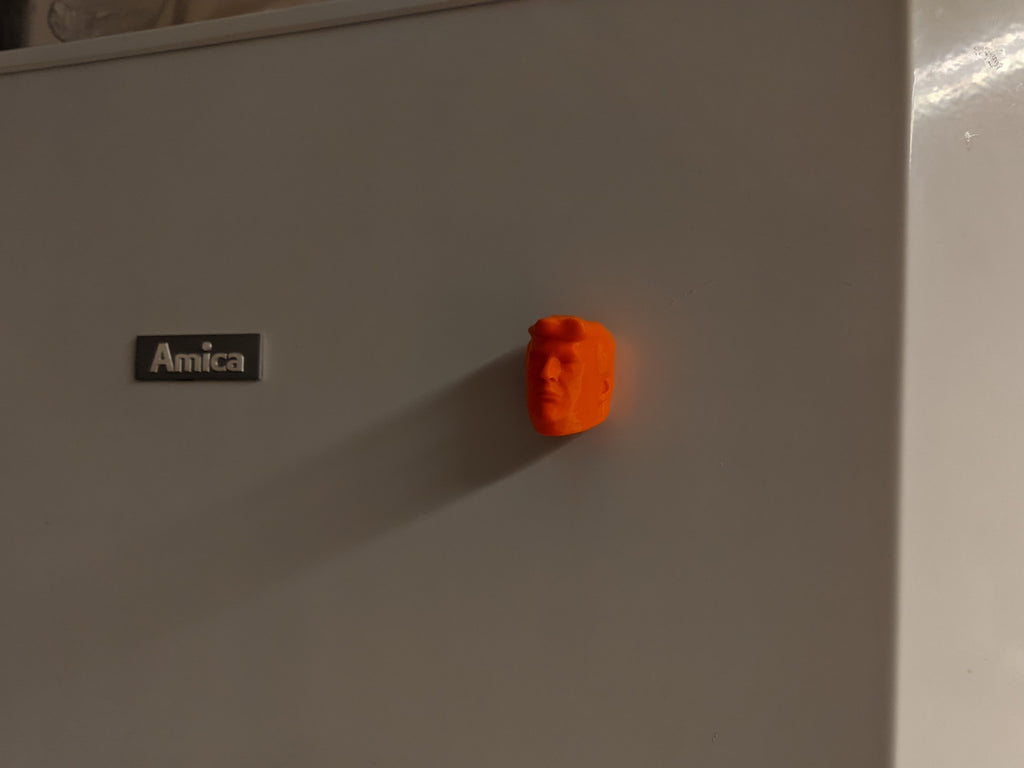 Donald J. Trump fridge magnet