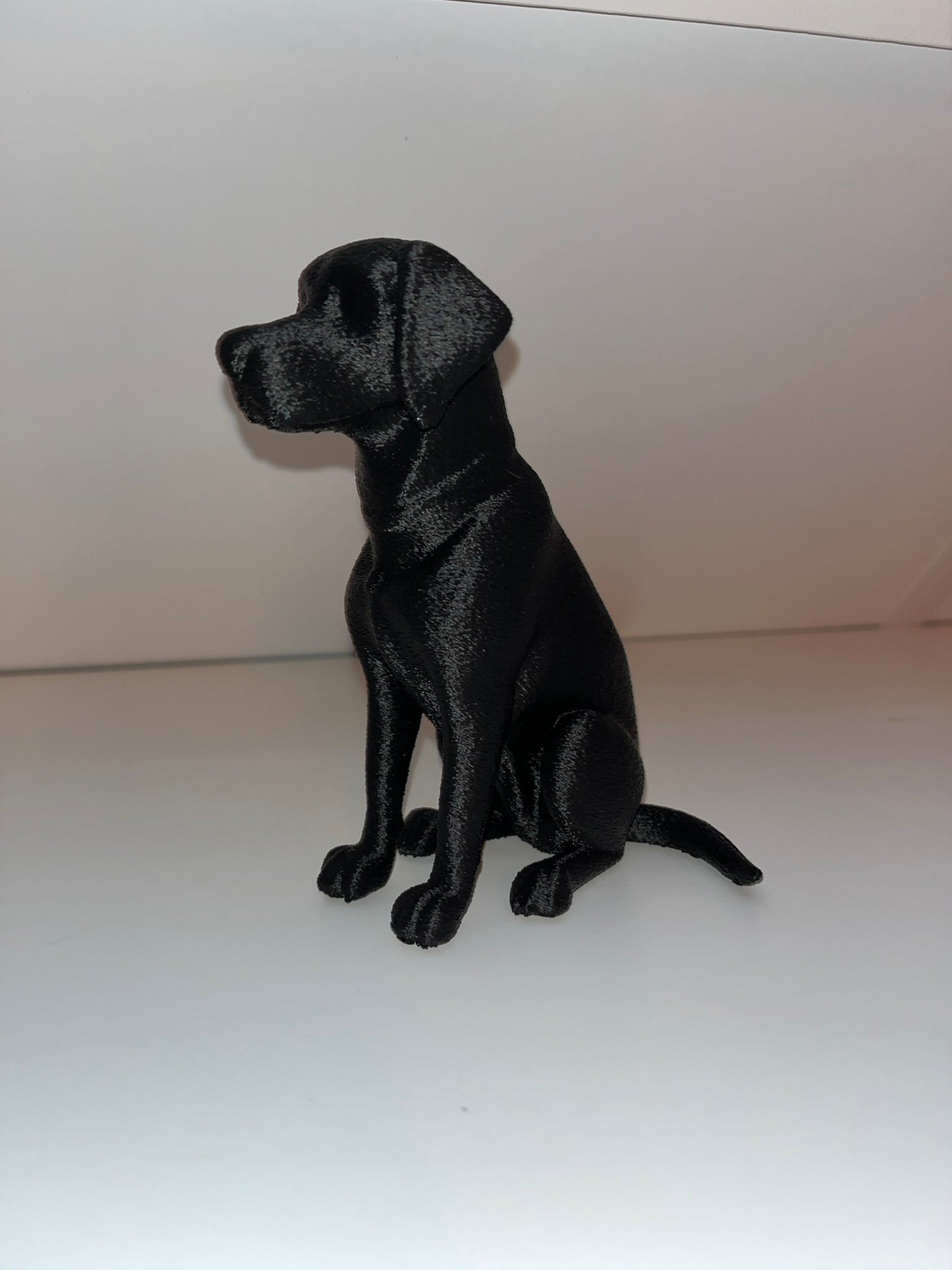 Labrador Dog Senna Decor