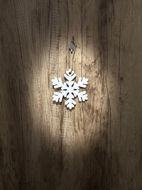 Snowflake Different Dizes