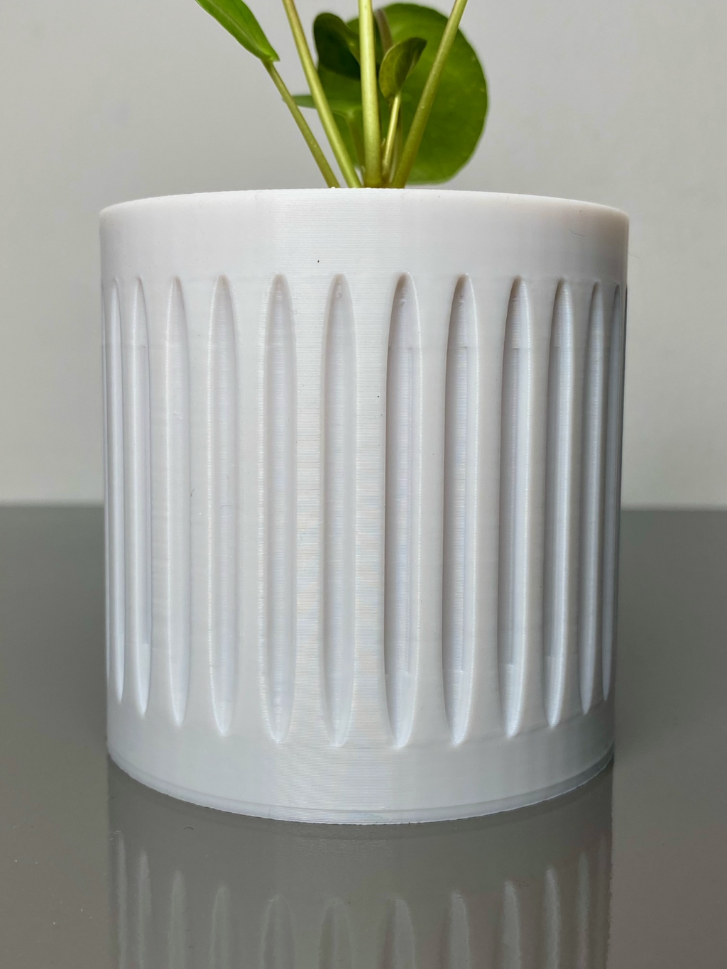 Plant Pot 80mm