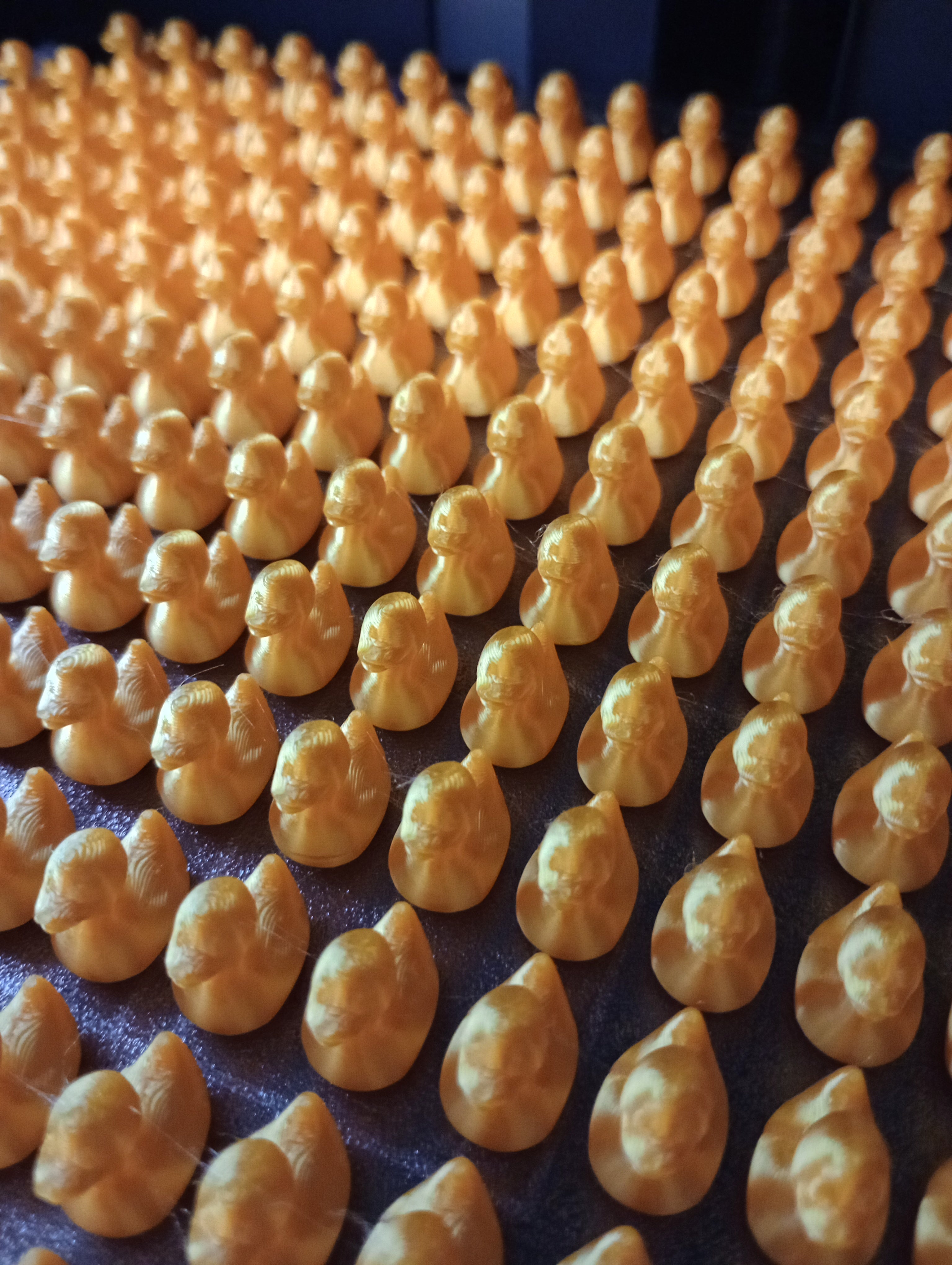 Hundreds of Ducks
