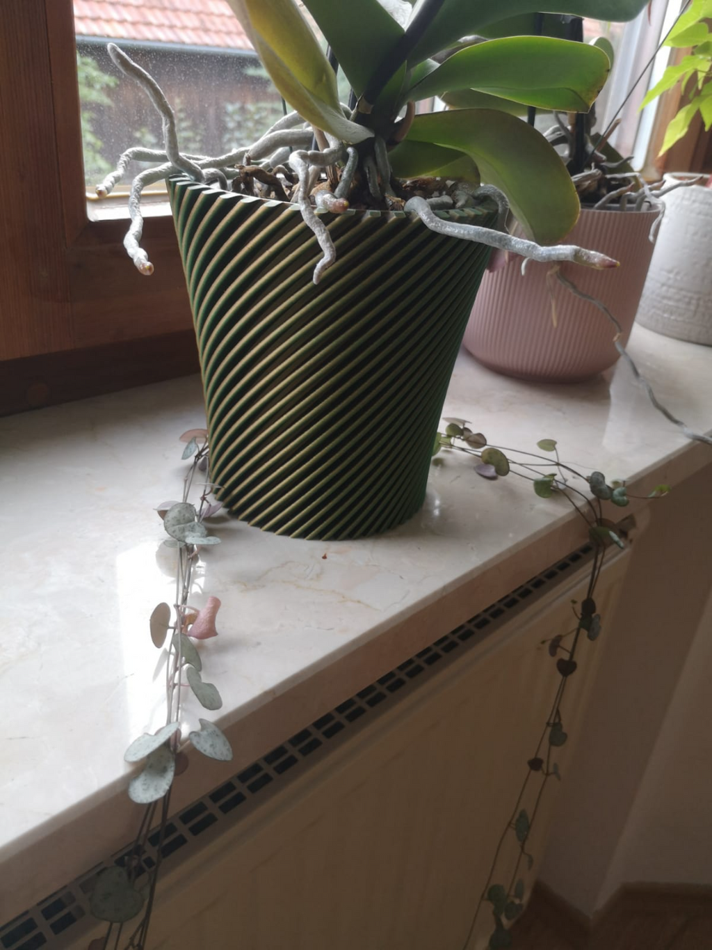 Orchid Pot Planter Vase