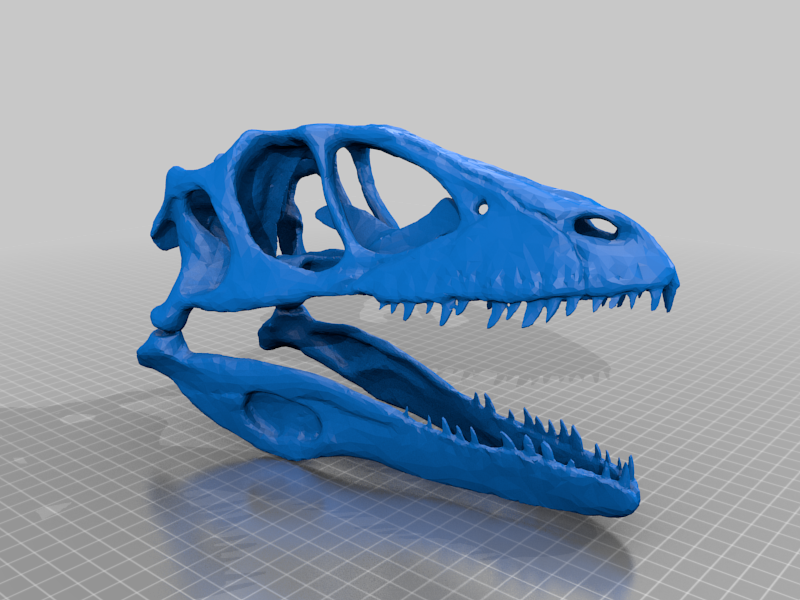 Deinonychus (Raptor) skull