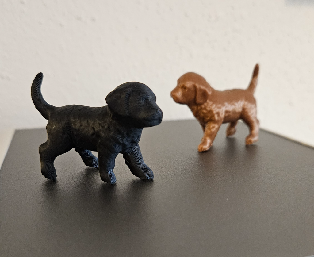 kleiner Hund - little Dog