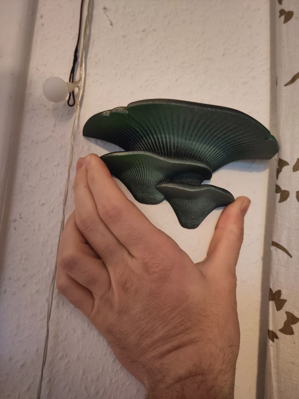 Mushroom Shelf