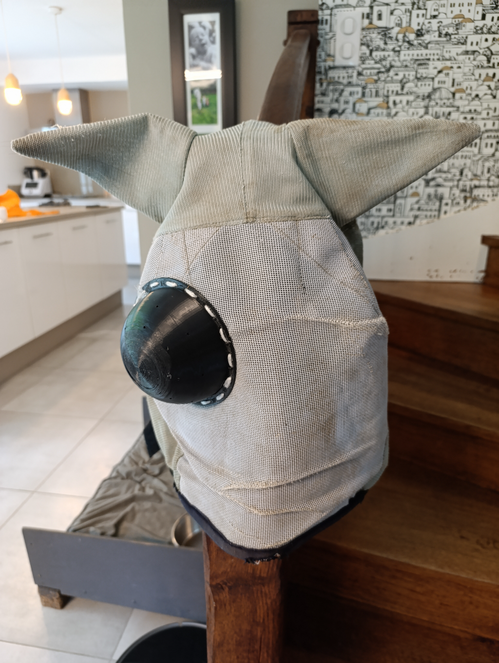 protection oculaire pour masque pour chevaux