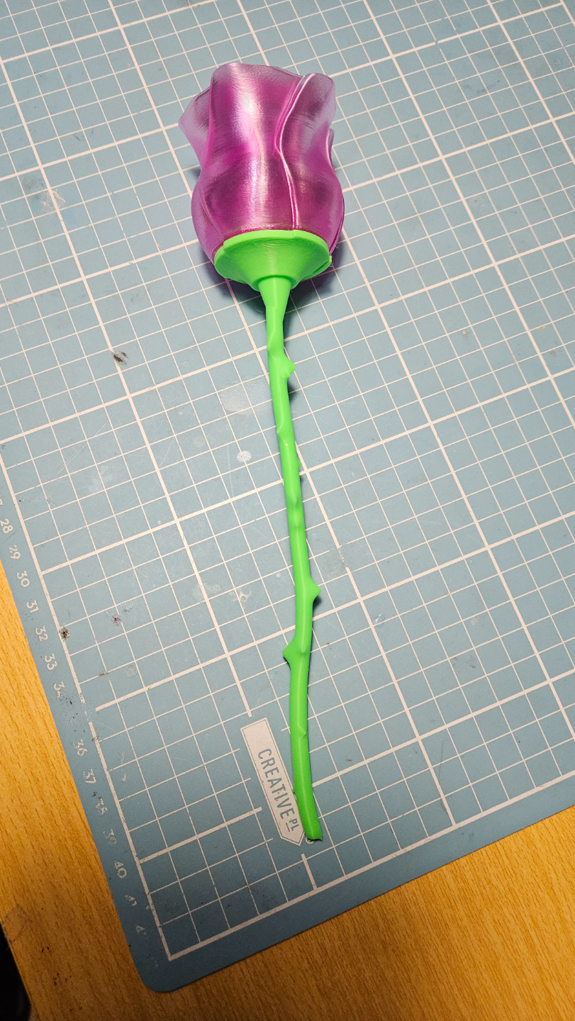 Reinforced Rose Stem