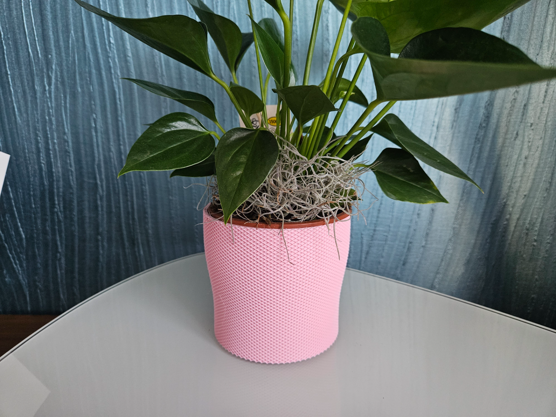 Orchid vase