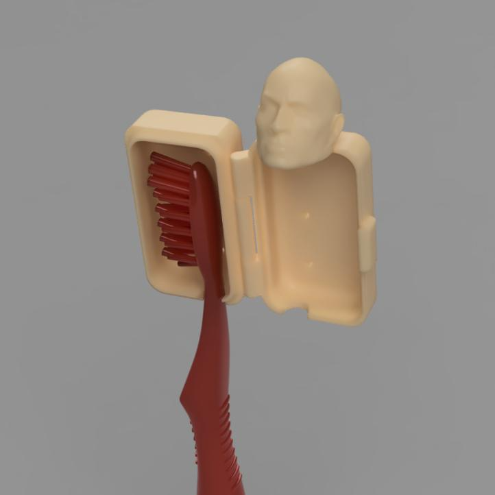 The Rock Toothbrush Case