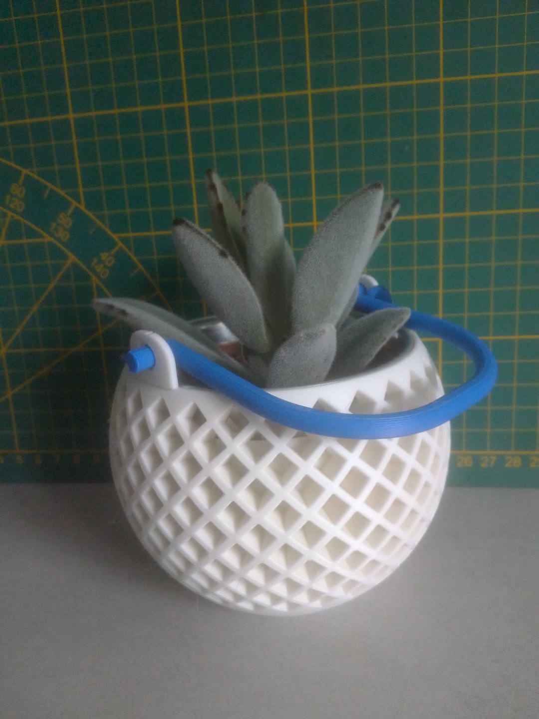 Plant pot with handle