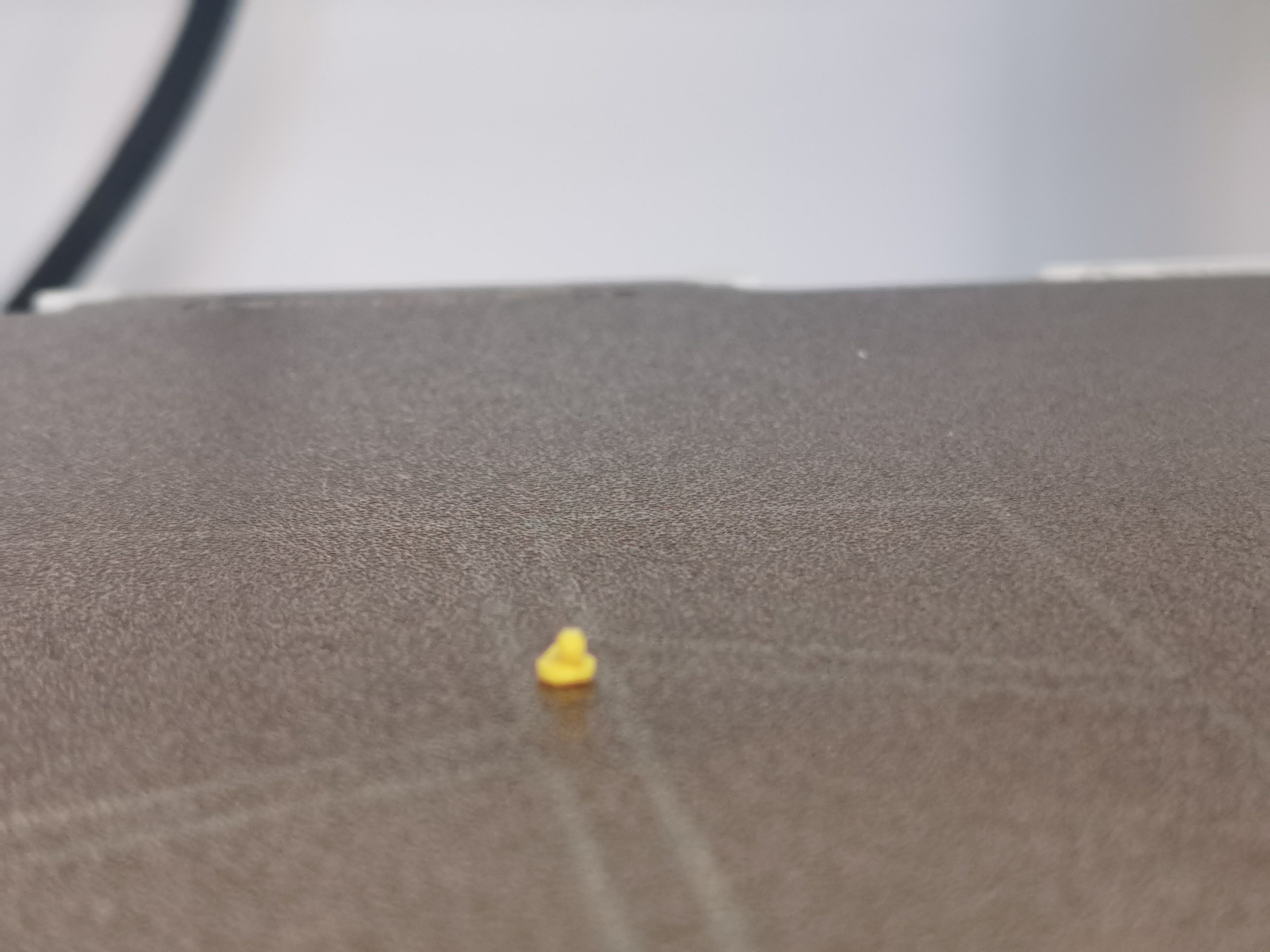 Tiny Duck
