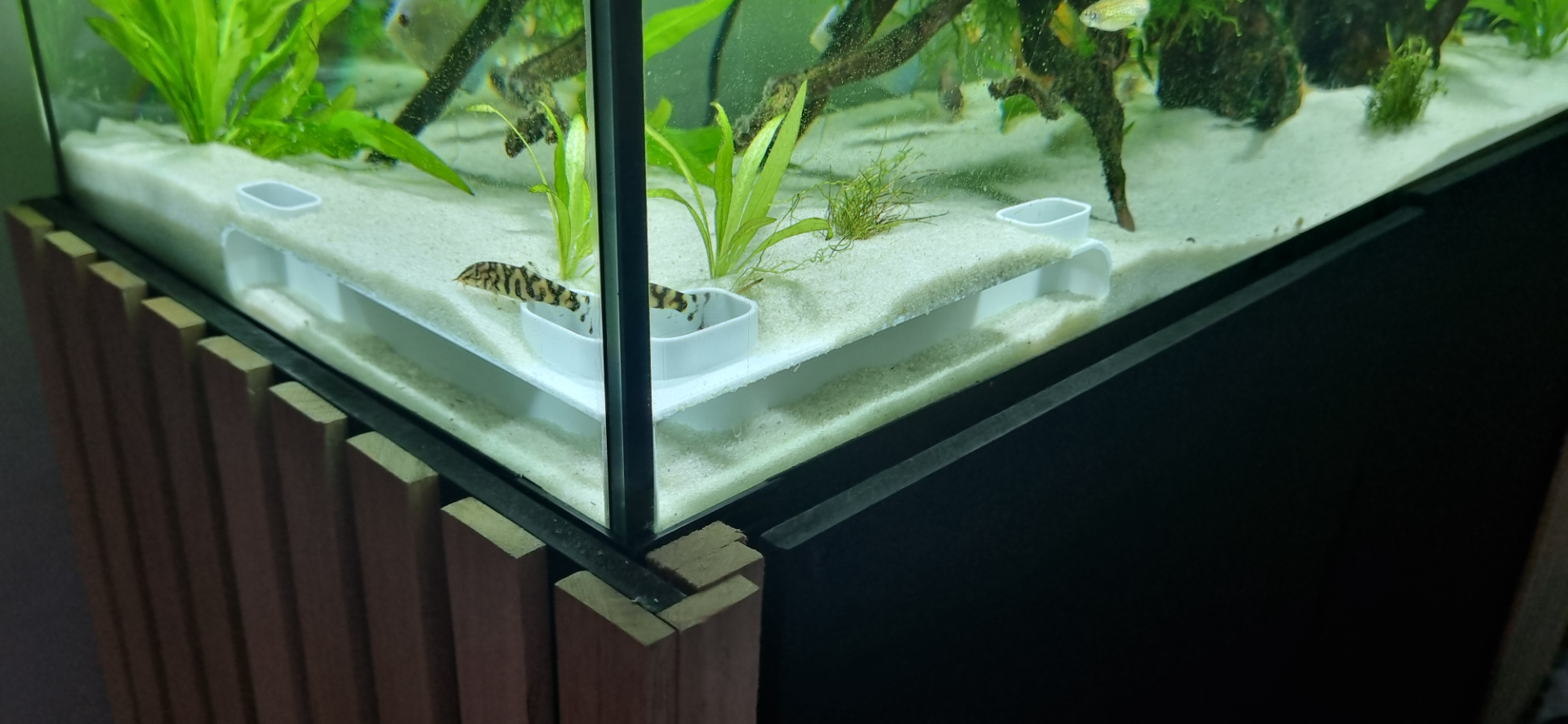 Fish Tank Corner Tunnel