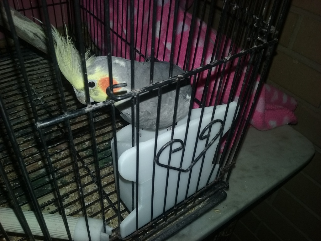 High-side Bird Seed Holder