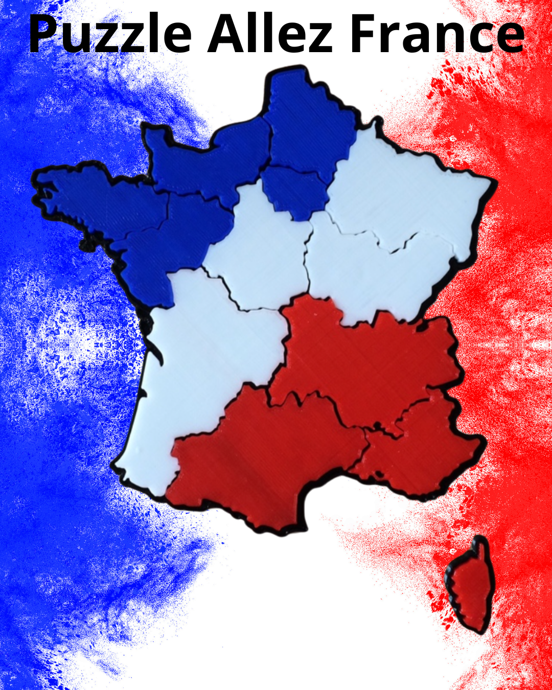 Regions of France 3D Puzzle