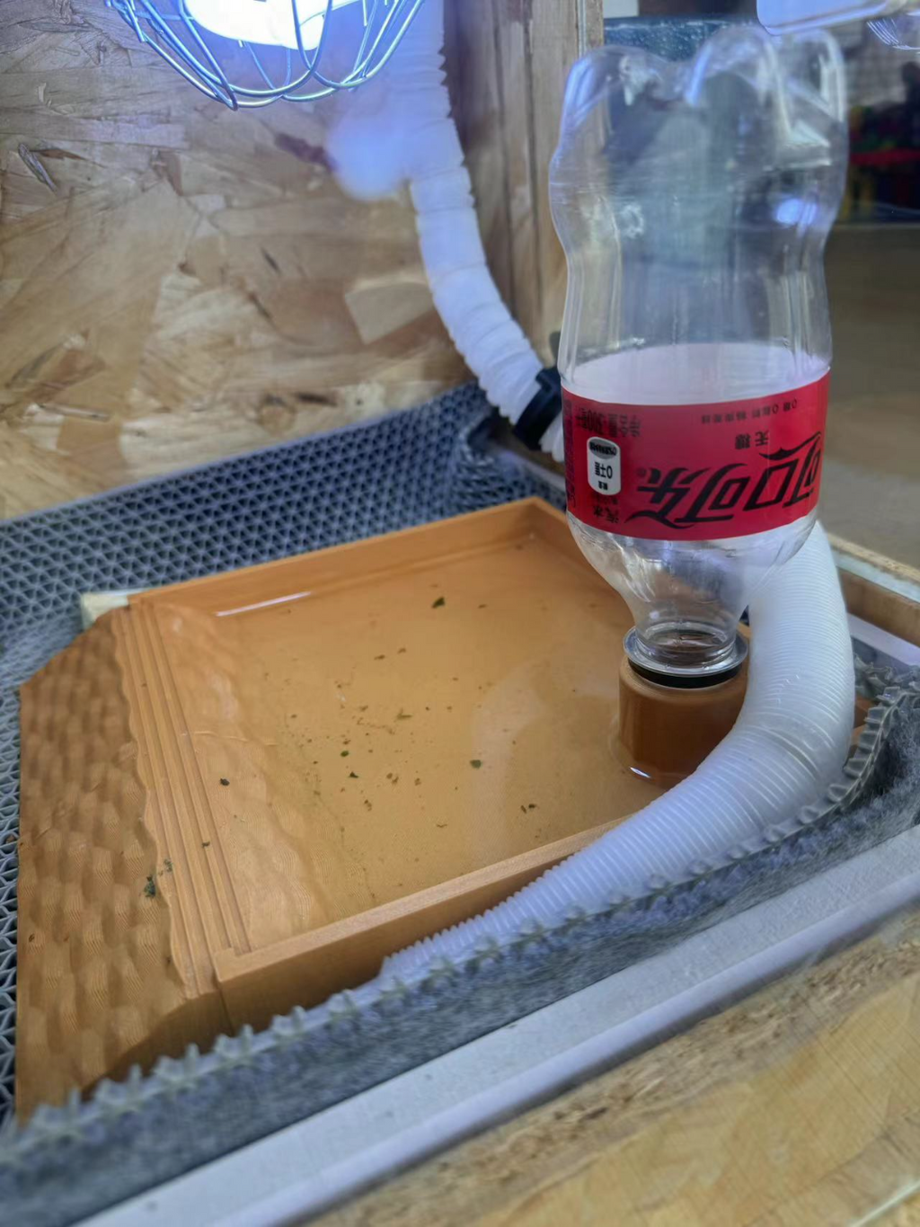 乌龟洗澡喝水盆