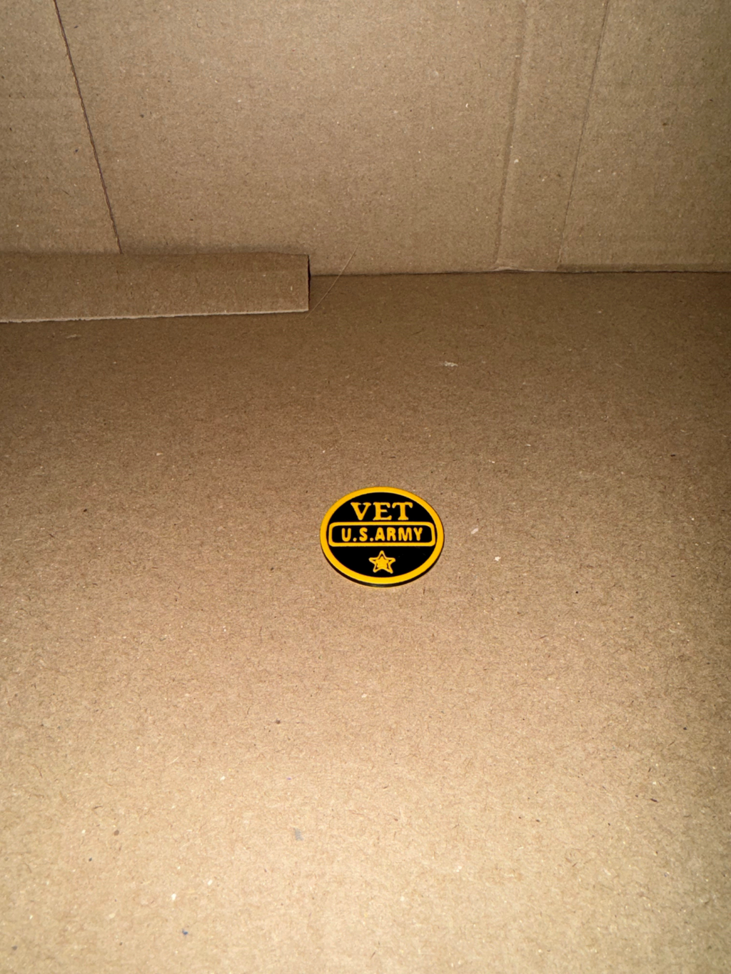 Army Veteran Thank You Coin