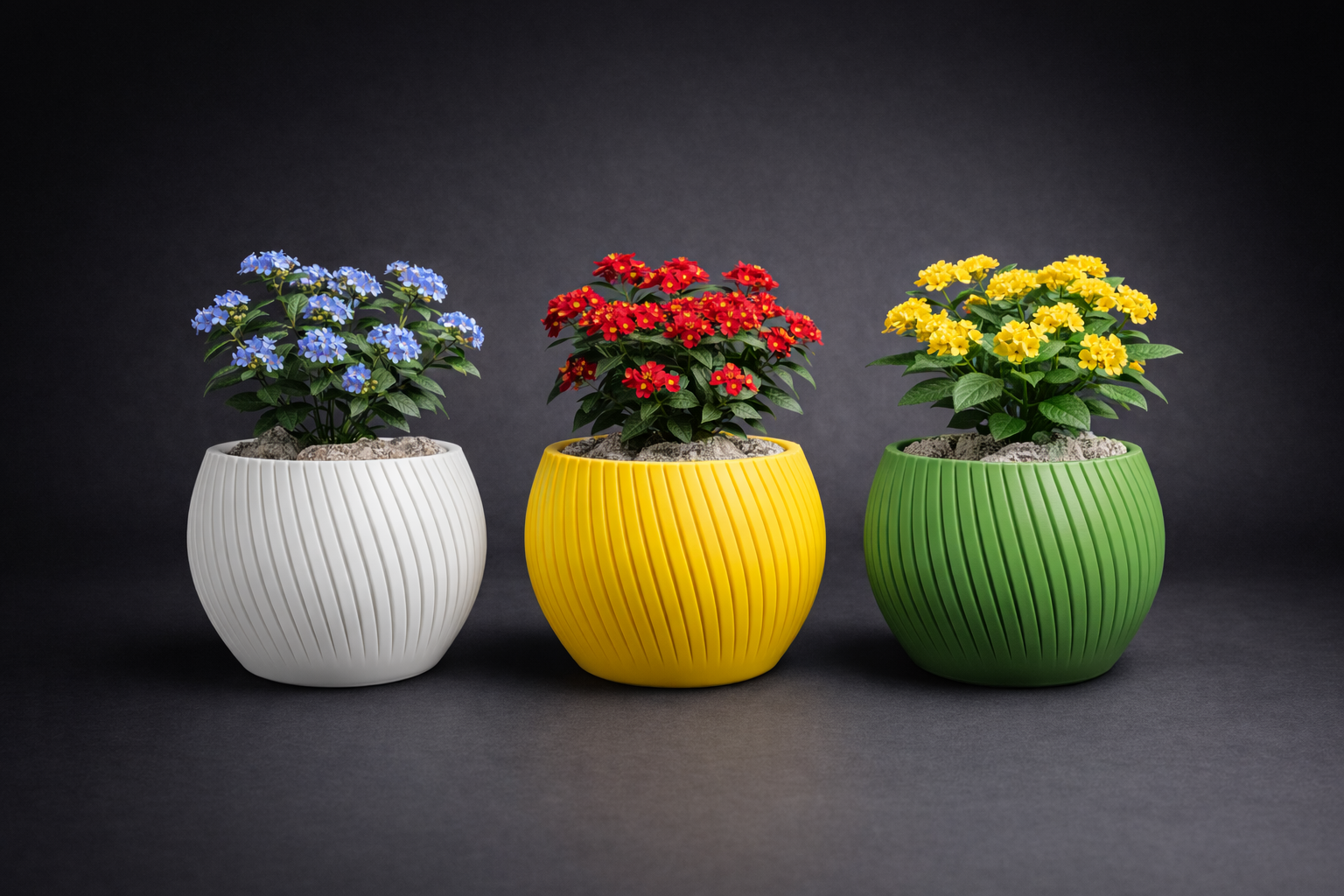 Flower - Plant Pot ( Medium Size )