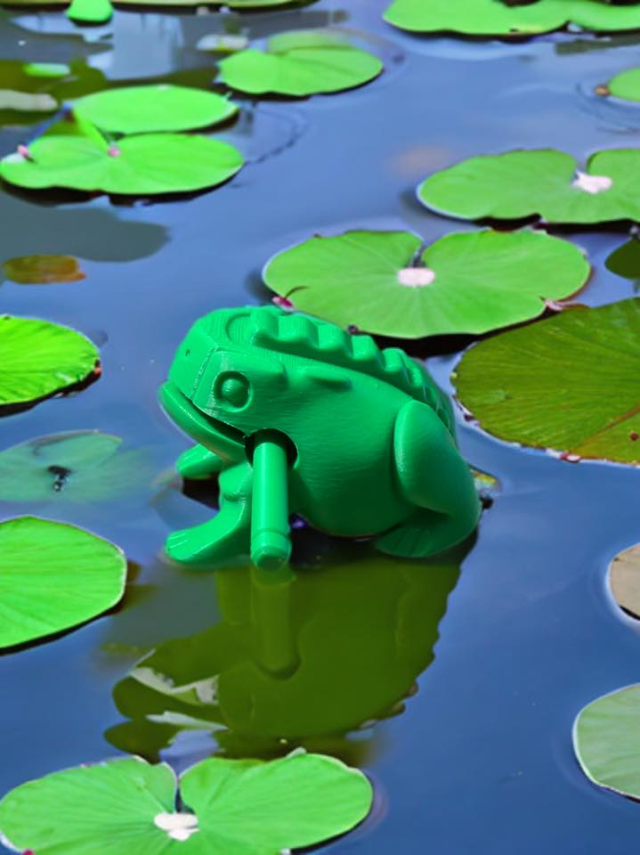 Percussion Frog,