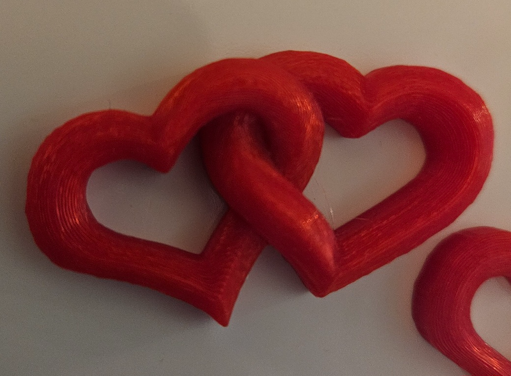 Entwined Heart Fridge Magnet
