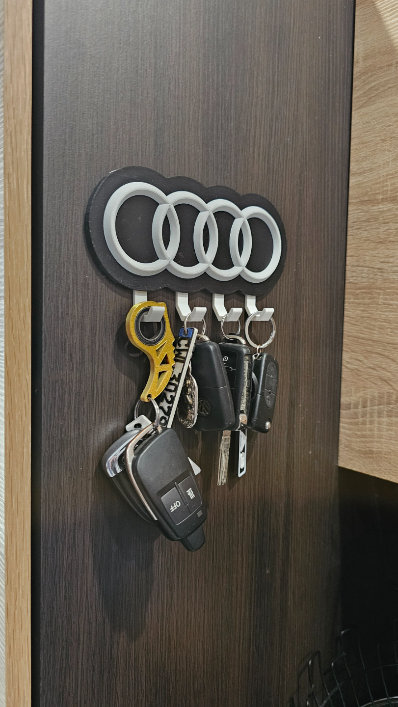 Audi key holder no ams