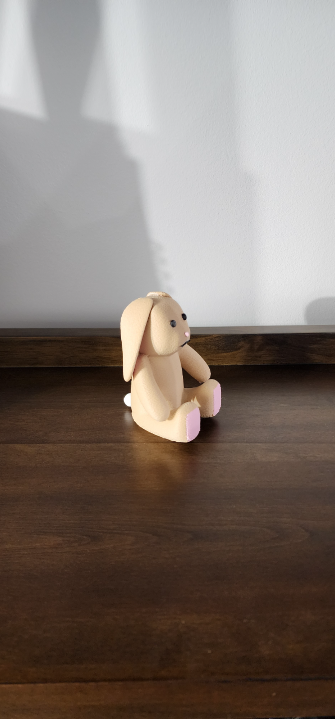 Cute Fuzzy Bunny