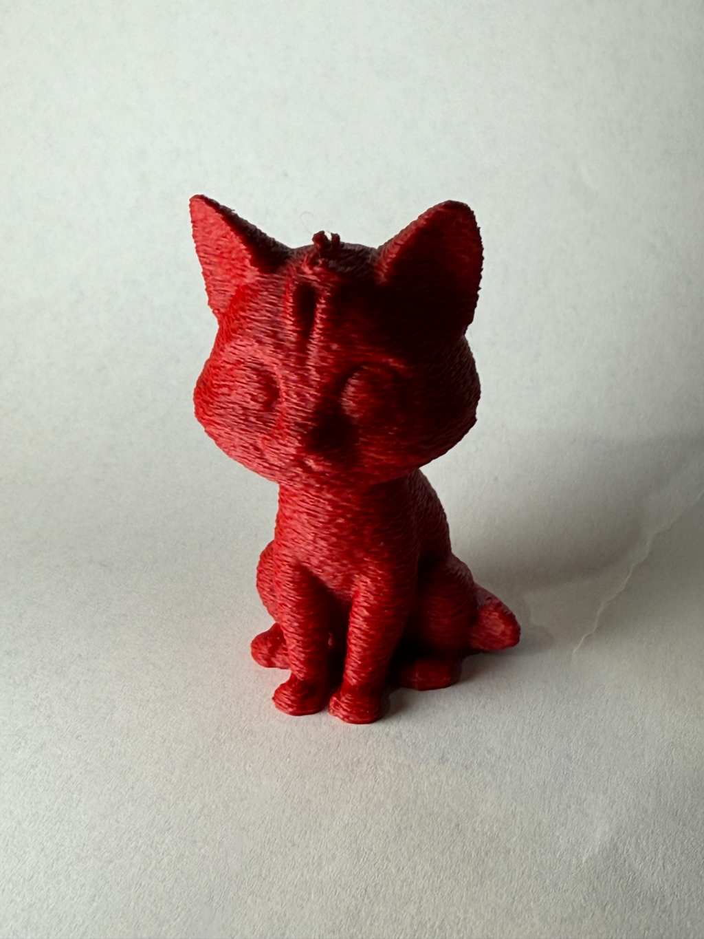 Knitted cute cat