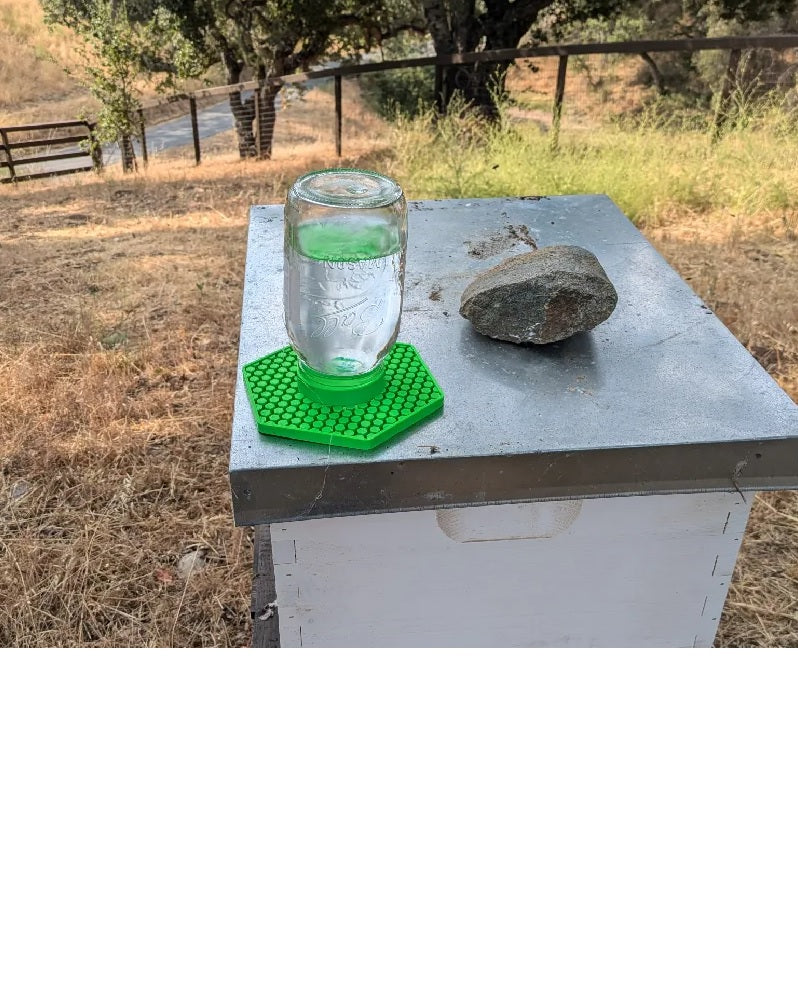 Screw on bee water tray for wide mouth mason jar