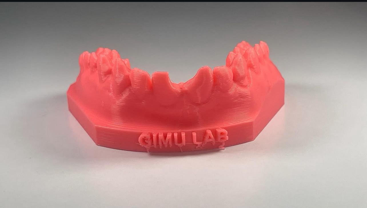 DENTAL TRAINING RESTORATION BY GIMULAB HOUSE MKS