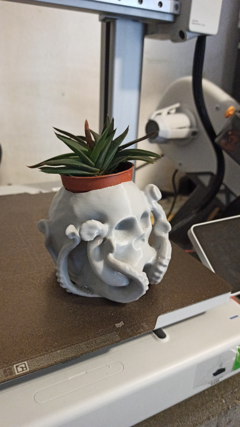 Octo Skull Mini Succulent Planter